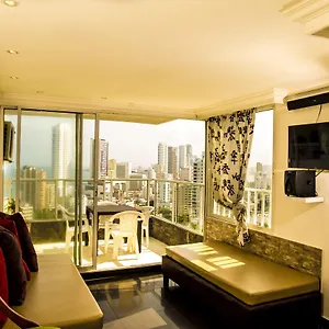 book here